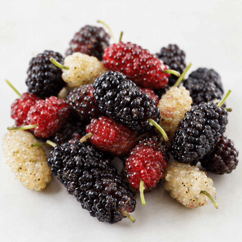 Elongated, softly bumpy aggregate berries in deep purple-black, with a few red and pale cream berries, short green stems, and glossy, delicate surfaces arranged loosely on a light background.