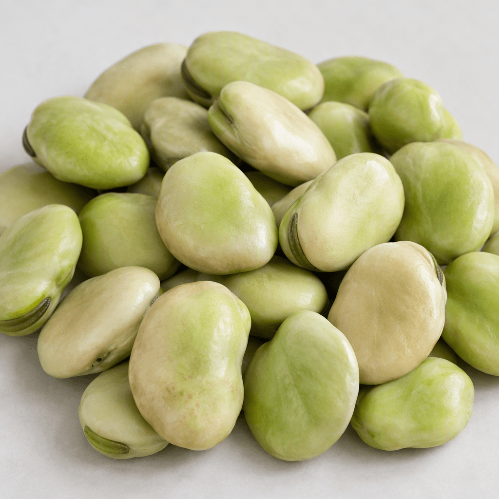 Large, flat, oval-to-kidney-shaped fava beans with smooth, firm skins in pale green to creamy beige, shown loose and overlapping on a plain surface.