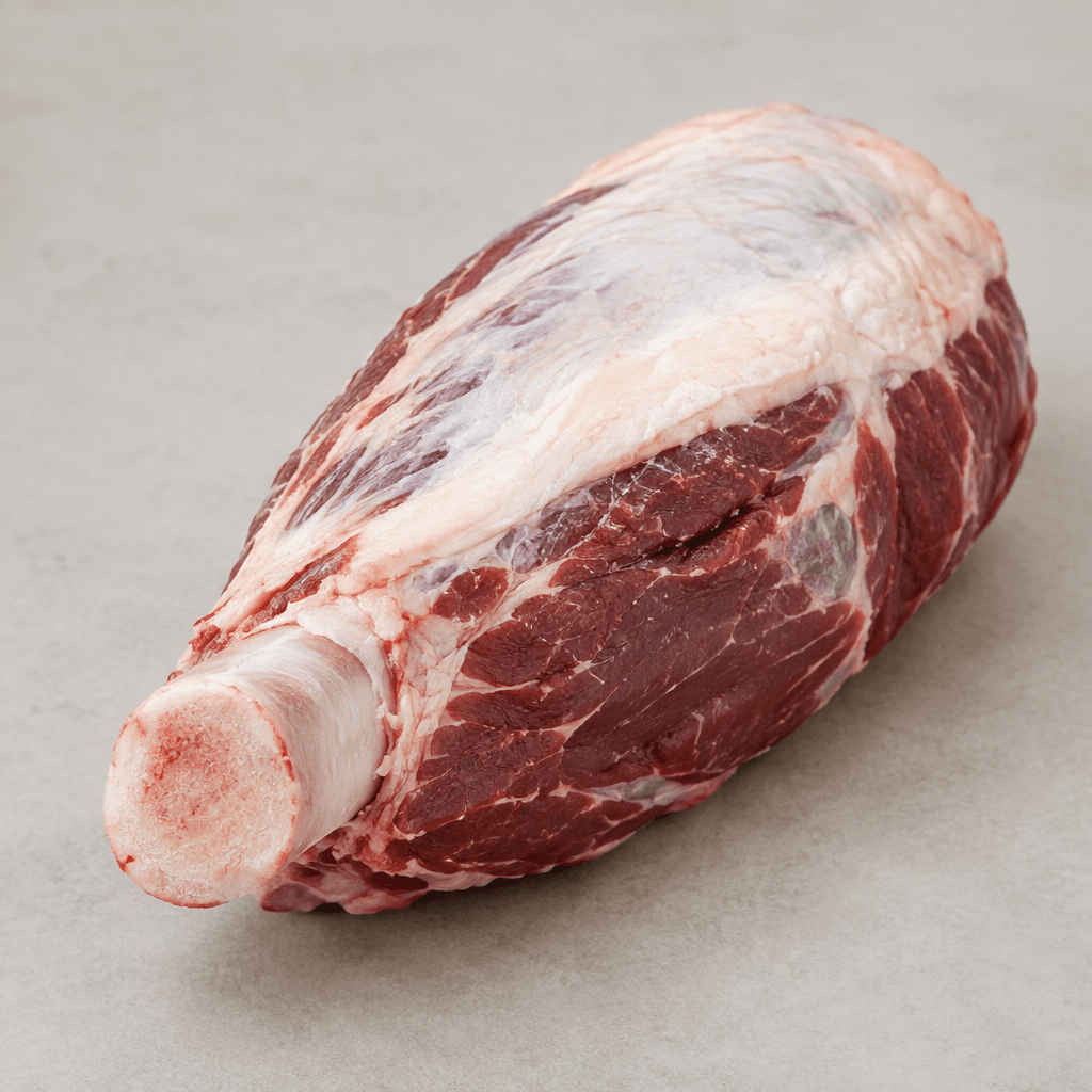 A bone-in lower-leg cut with a long, rounded shape, thick red to brown meat surrounding a pale exposed bone at one end, and a smooth layer of white fat along the outer surface.
