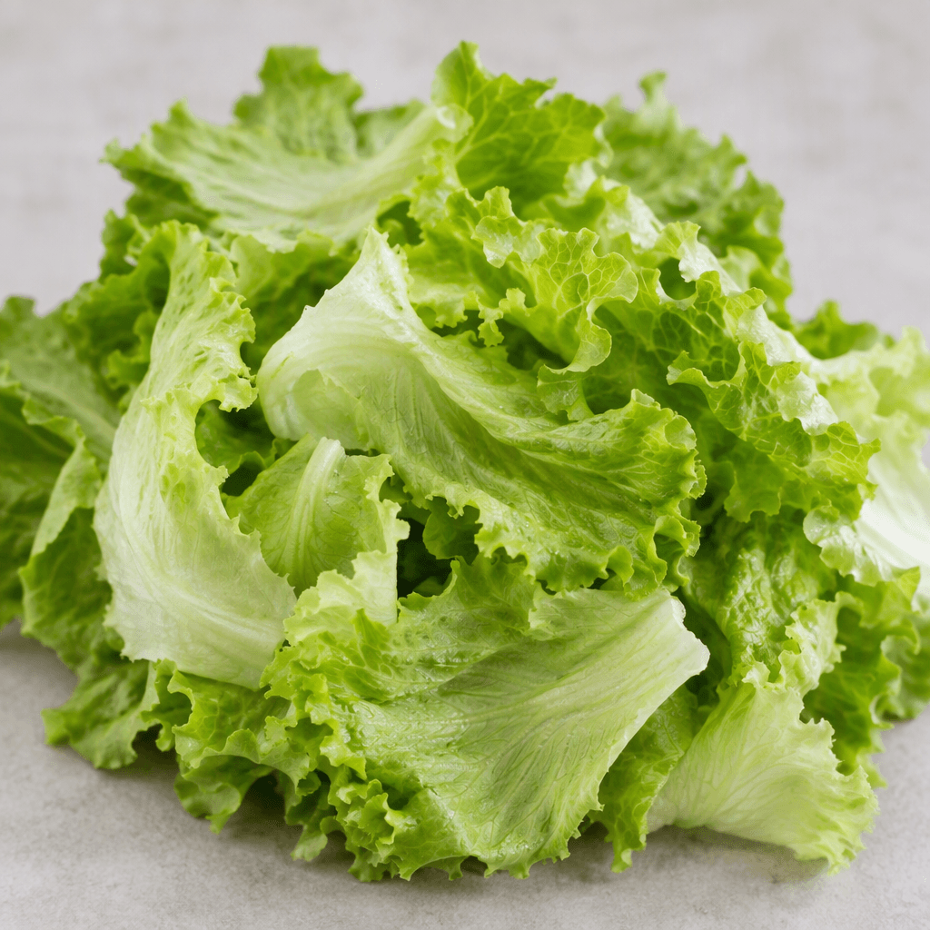 Fresh raw lettuce leaves with pale green ribs and brighter green, softly ruffled edges are loosely piled together.