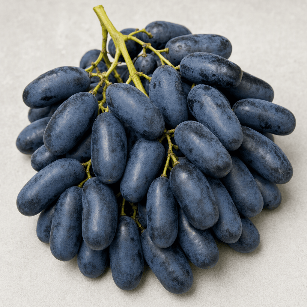 A compact bunch of elongated, oval Nero grapes with deep blue-black skins and a faint dusty bloom, attached to thin green stems.