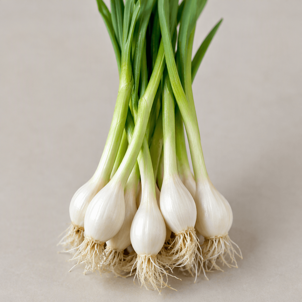 Fresh garlic appears as small elongated white bulbs with smooth, slightly glossy skin, narrow green shoots extending from the tops, and fine pale roots visible at the bases.