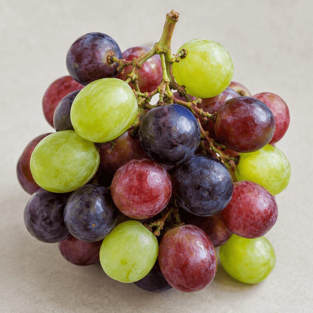 A small bunch of round, smooth-skinned grapes in shades of green, deep purple, and red, attached to thin branching stems with a slight natural sheen.