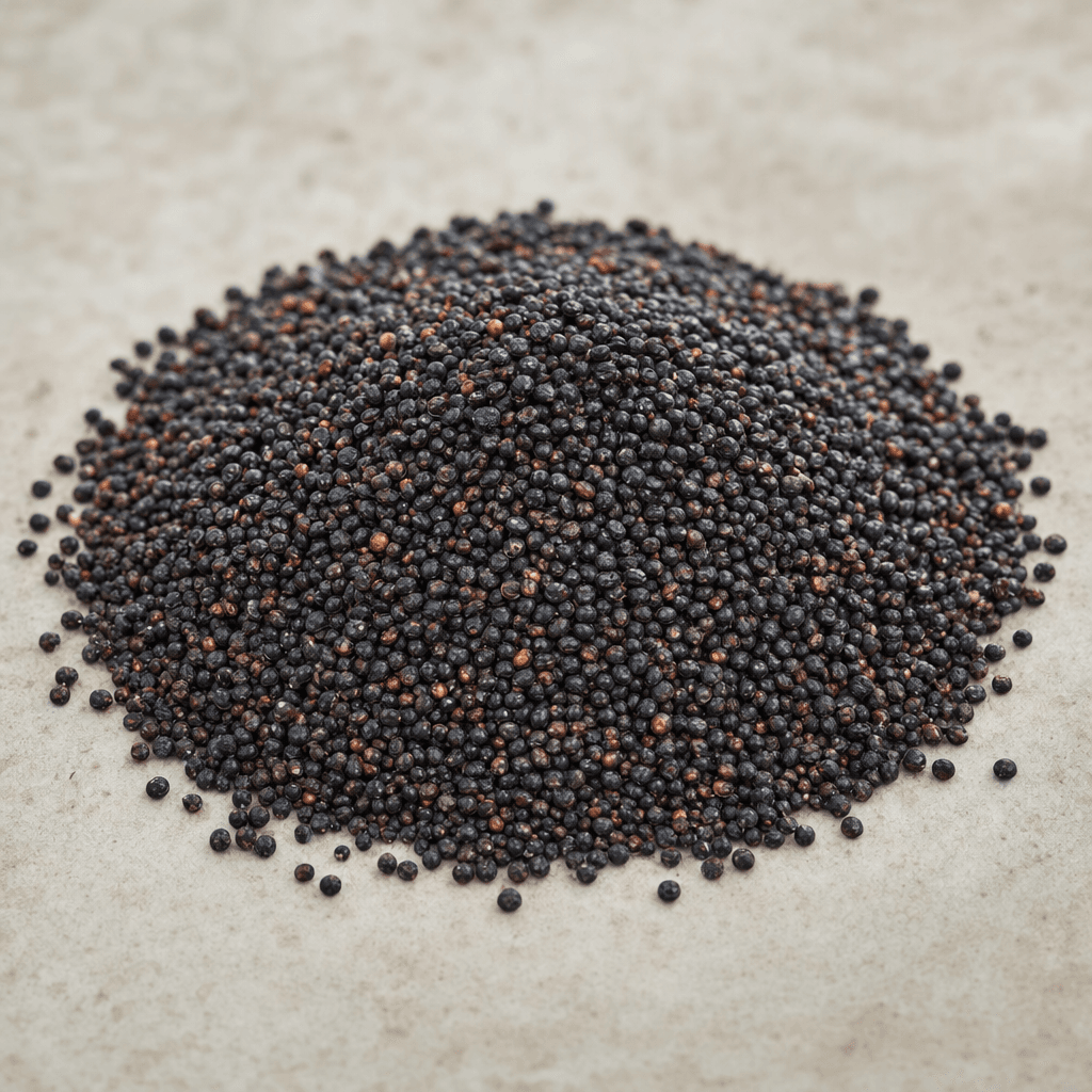 A small mound of tiny, round black quinoa seeds with a dry, slightly glossy surface.