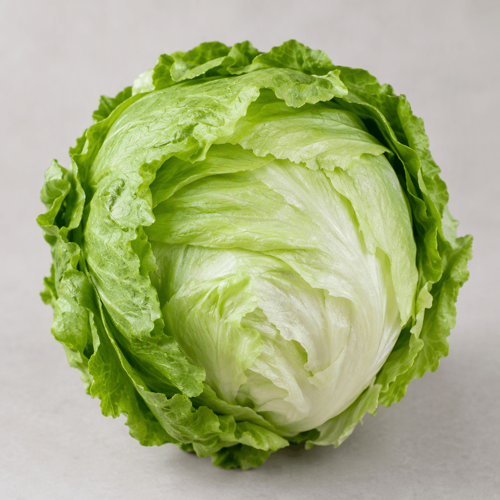 A compact, round head of iceberg lettuce with tightly layered, overlapping leaves that fade from medium green outer leaves to pale green and nearly white at the crisp inner core, with a firm, rounded shape and slightly ruffled edges.