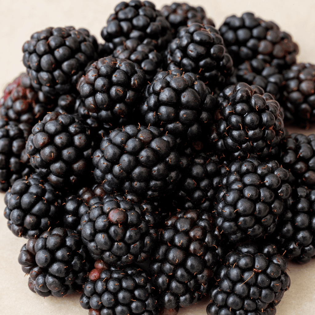 Plump, nearly black-purple blackberries with tightly packed glossy drupelets and small hollow centers are piled loosely together.