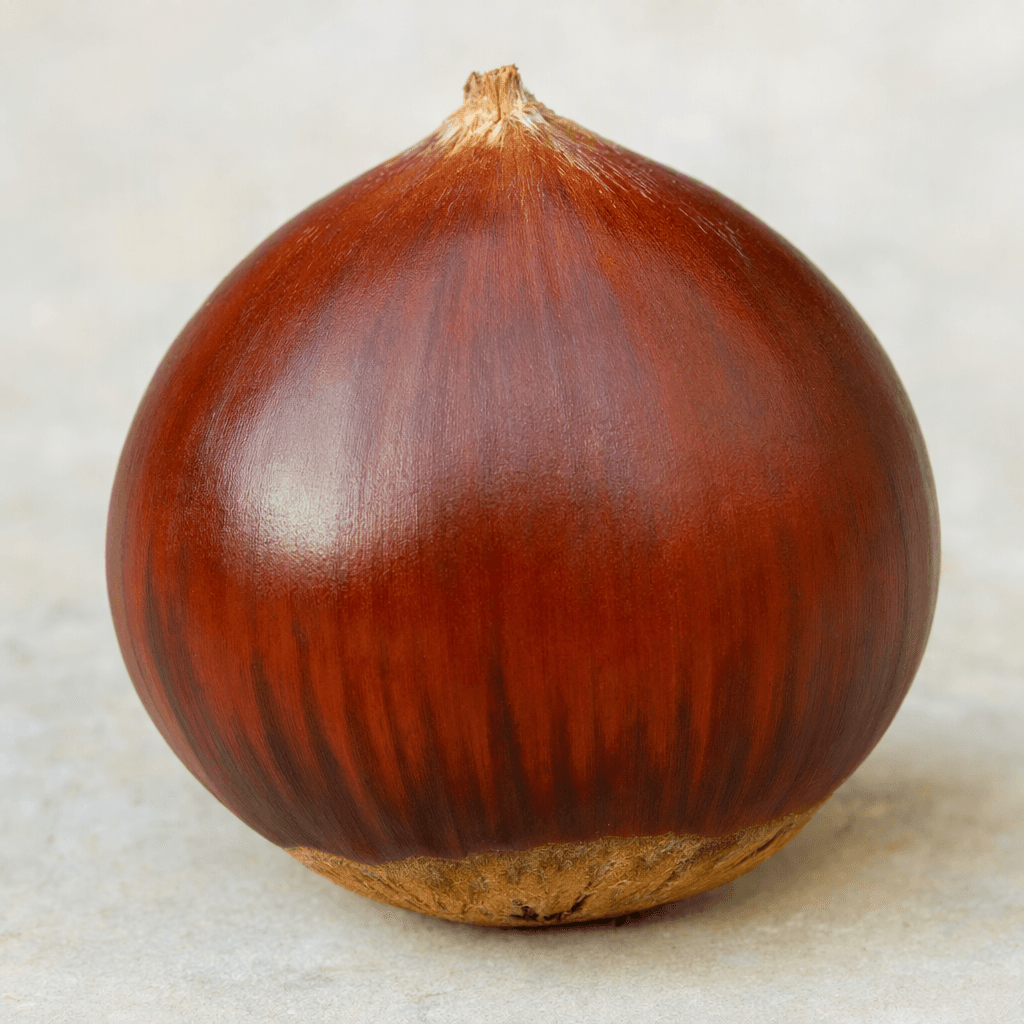 Whole raw chestnuts have smooth, glossy reddish-brown shells, rounded sides, a slightly pointed tip, and a small pale scar at the base.