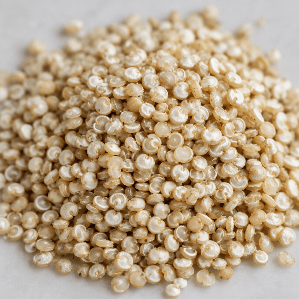 Small, round quinoa seeds in pale ivory and light beige, with a slightly translucent surface and a fine curved ring visible on many grains.