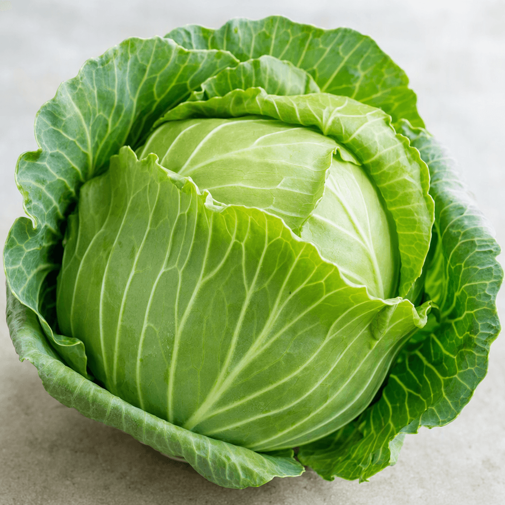 A round, tightly layered head of cabbage with broad, overlapping pale-green leaves, prominent branching veins, and softly ruffled outer edges.