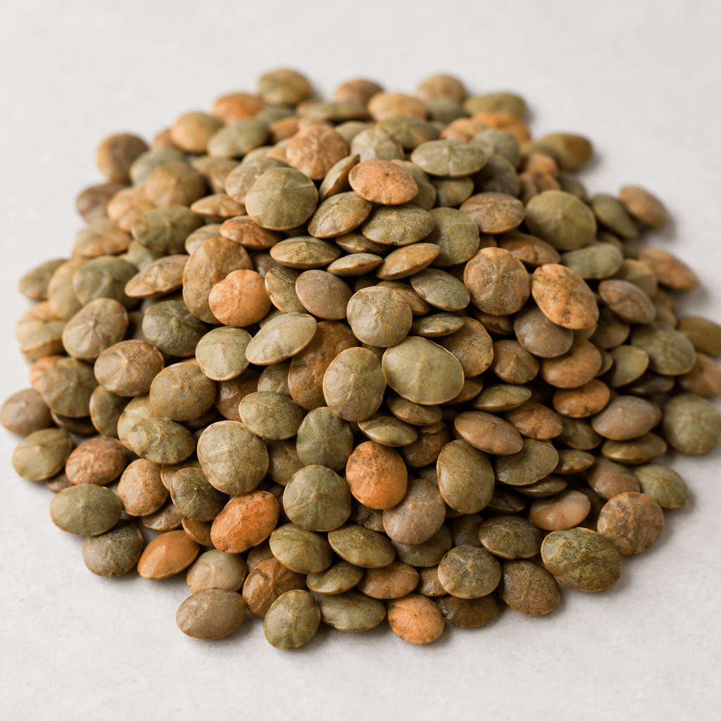 Small, flat, round-to-oval lens-shaped dried seeds form a loose mound, with earthy green, brown, and muted orange tones and smooth, slightly matte surfaces.