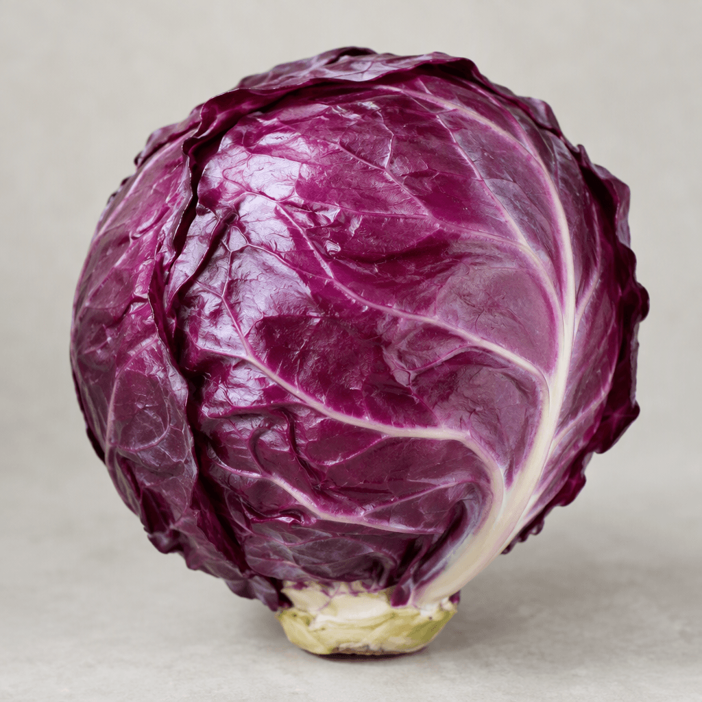 A compact, round head of red cabbage with tightly layered, glossy leaves in deep purple-red tones, pale white veins, and a short pale green stem visible at the base.