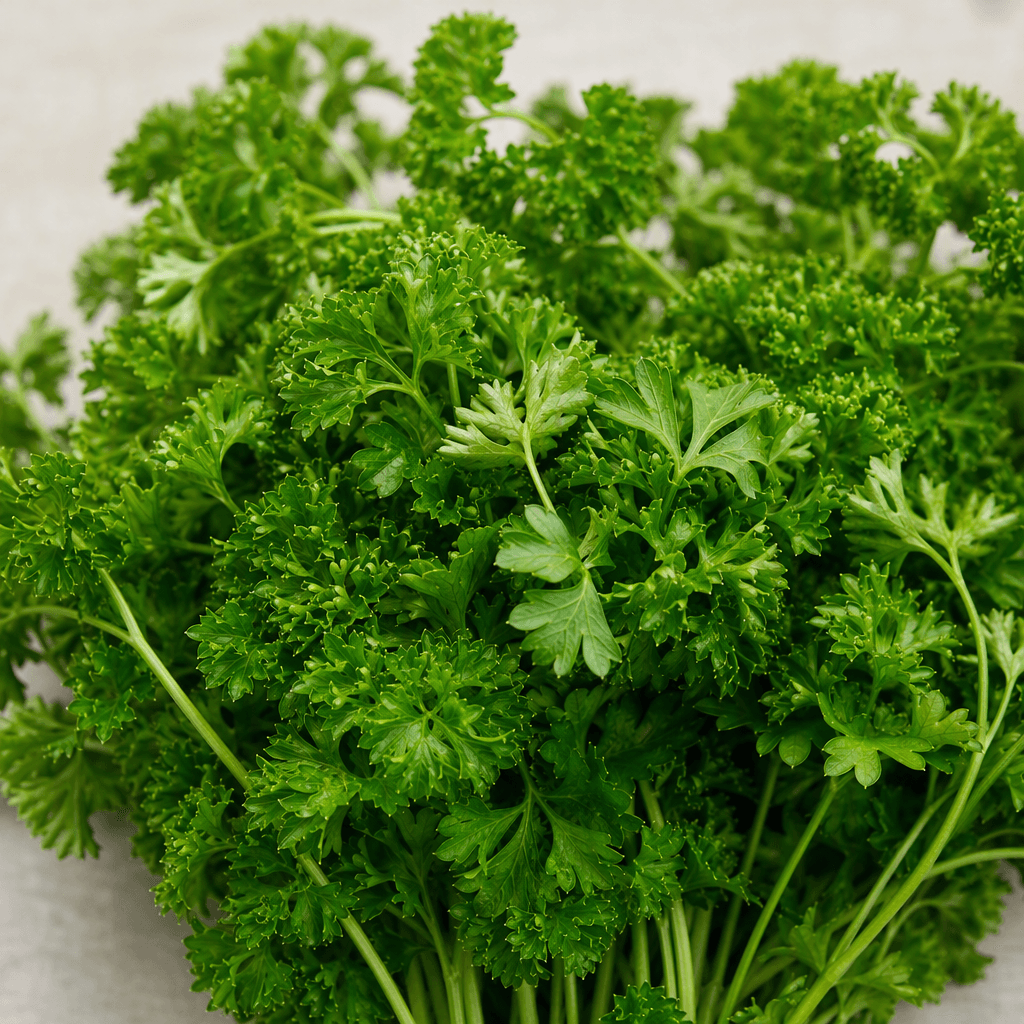 A bunch of fresh parsley with slender pale-green stems and dense, bright-green leaves that are either finely flat and lobed or tightly ruffled, forming a loose leafy cluster.