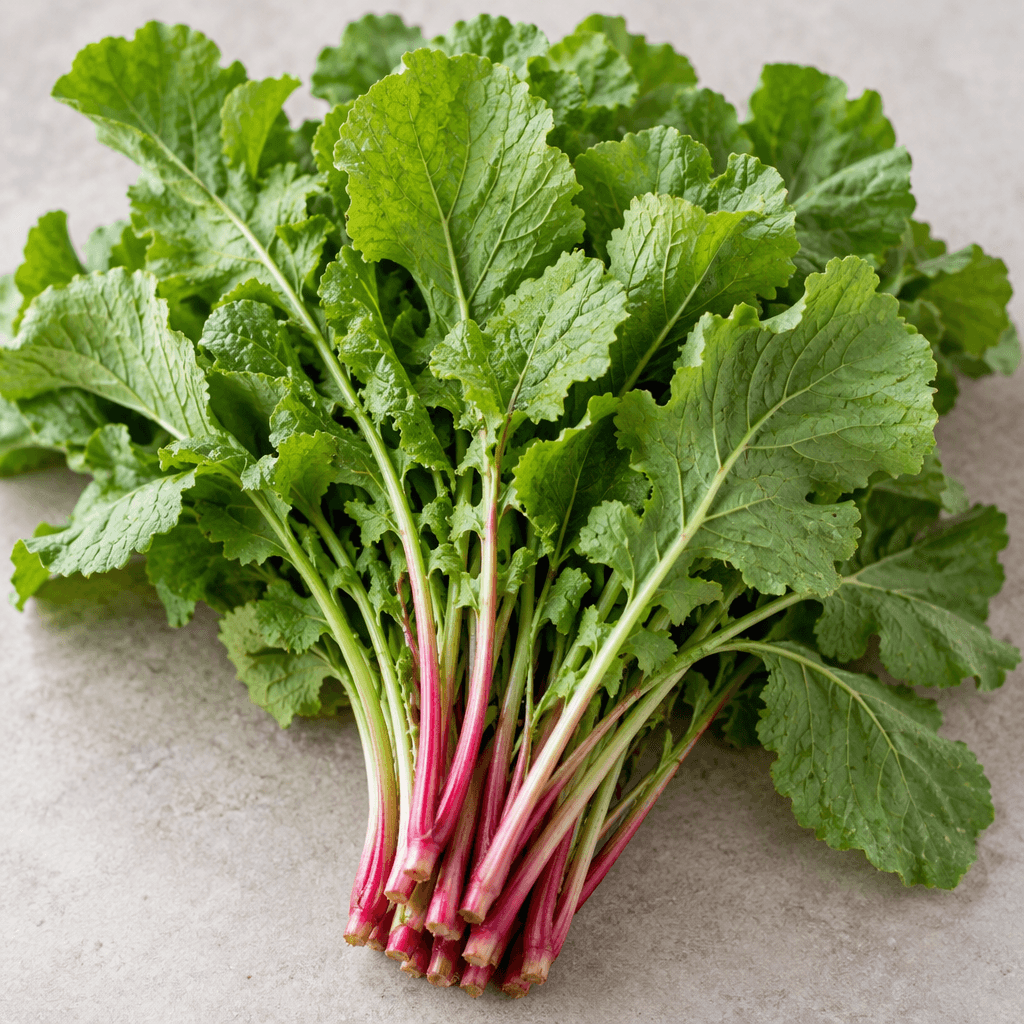 A bunch of fresh radish greens with vivid green, slightly rough leaves that have jagged, irregular edges and slender stems in pale green to pinkish red.
