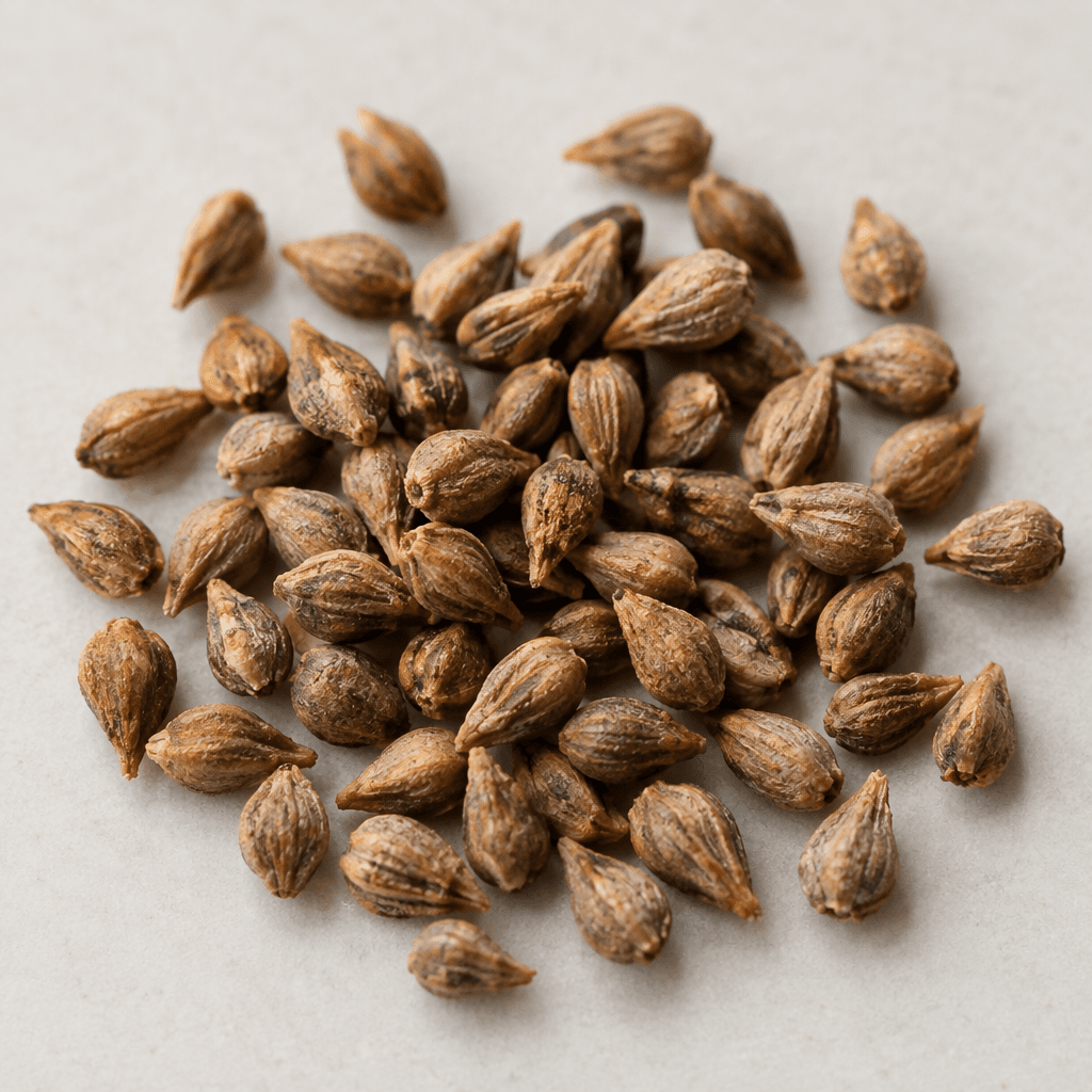 Small, hard, tan-to-brown grape seeds have a teardrop shape with pointed ends and subtly ridged, matte surfaces, scattered loosely on a plain surface.