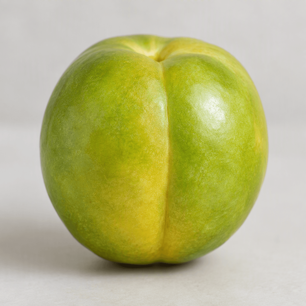 A round green nectarine with smooth, taut, lightly glossy green skin, subtle yellow undertones, and a shallow vertical seam around its fruit.