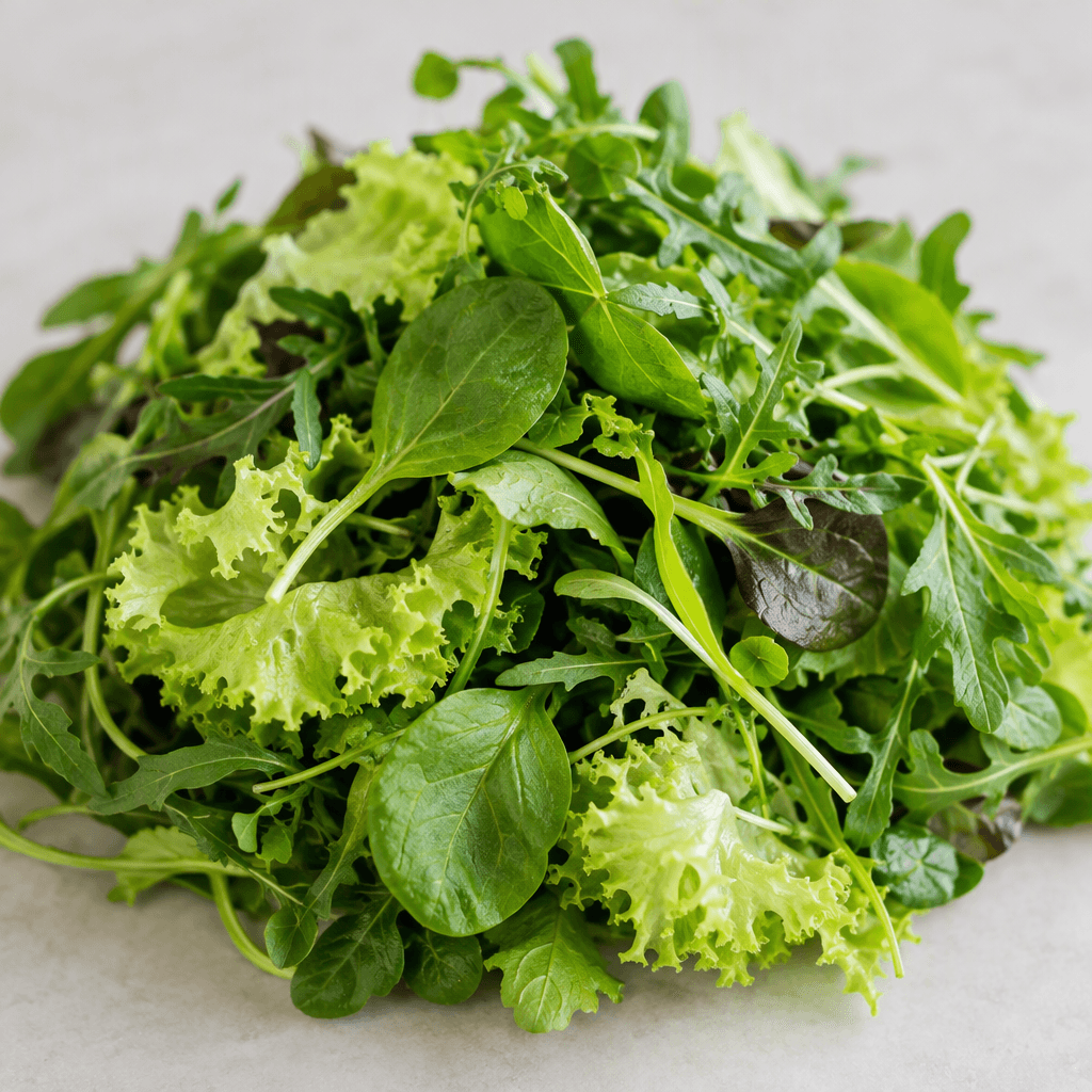 A loose mix of fresh leafy greens in varied shades of light and deep green, with tender oval leaves, frilly lettuce pieces, and slender stems gathered in a casual mound.